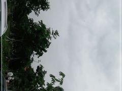 -大屏嶂森林公园