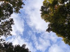 -南京东郊国宾馆