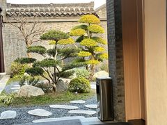 -水绘园