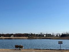 -春花秋色城市公园