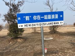 -盐城丹顶鹤湿地生态旅游区