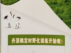-盐城丹顶鹤湿地生态旅游区
