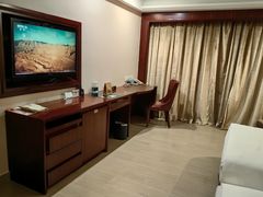 -圣爵菲斯大酒店(长沙世界之窗店)