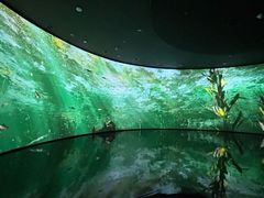 -中国湿地博物馆