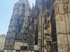 -斯蒂芬主教座堂(Stephansdom)
