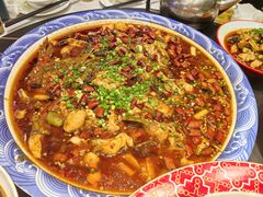 -新概念来凤鱼(璧山店)