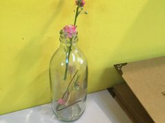 -志龙皇冠吃货椰子铺
