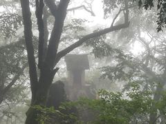 -塔云山