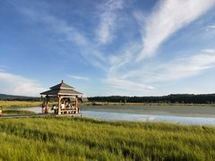 -塞罕坝国家级自然保护区