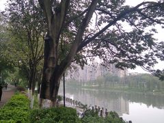 -怡海公园(桂城街道)