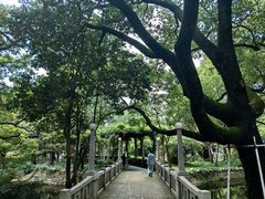 -叶家花园