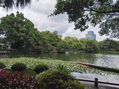 -荔湾湖公园