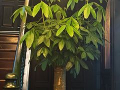 -西郊壹号