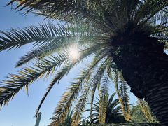 -三亚南山文化旅游区