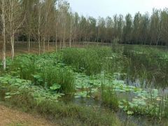 -东郊湿地公园