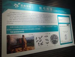-亚典中科健康汇美容·SPA