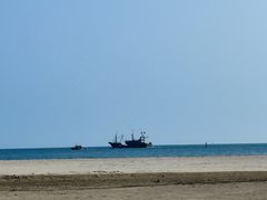 -东郊椰林