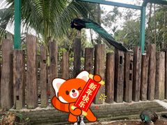-西双版纳傣族园