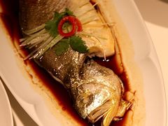 经典清蒸大黄鱼-满满海佛跳墙(千禧店)