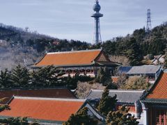-湛山寺