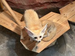 -Zoolung Zoolung动物主题公园(海信广场店)