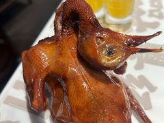 -大鸽饭(动物园店)