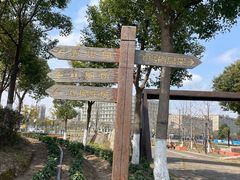 -春花秋色城市公园