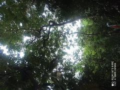 -中山公园(石岐街道)