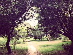iphone_upload_pic-东部华侨城