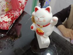 -凡碧诗毛孔收细