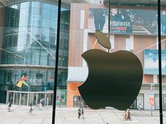 -Apple零售店(中街大悦城店)