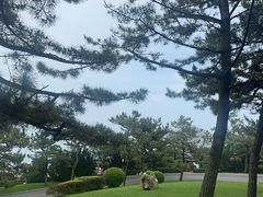 -棒棰岛宾馆景区