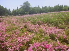 -歌斐颂巧克力小镇