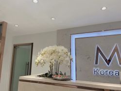 -MIVI野生眉纹绣纹眉