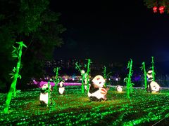 -广西壮族自治区药用植物园