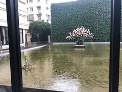 -锦江都城经典达华静安寺酒店·餐厅
