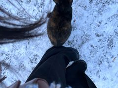 -pd派德宠物中心医院24H急重症·眼科中心·血液透析中心(嵩山北路店)