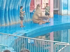 -华夏文旅海洋公园