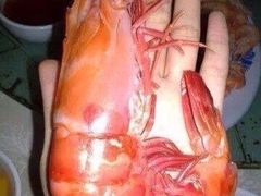 iphone_upload_pic-绢姐海鲜大排档