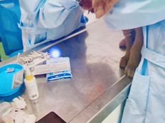 -汪喵宠物医院·骨科心脏影像·犬猫急重症ICU诊疗中心(成华分院)