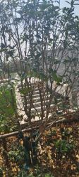 点击看大图 -壹加壹医疗美容·轻医美·美容外科