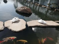 -罗红摄影艺术馆