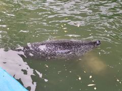 -北戴河圣蓝海洋公园