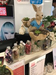 点击看大图 -京世沙龙