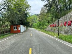 -素山寺森林公园