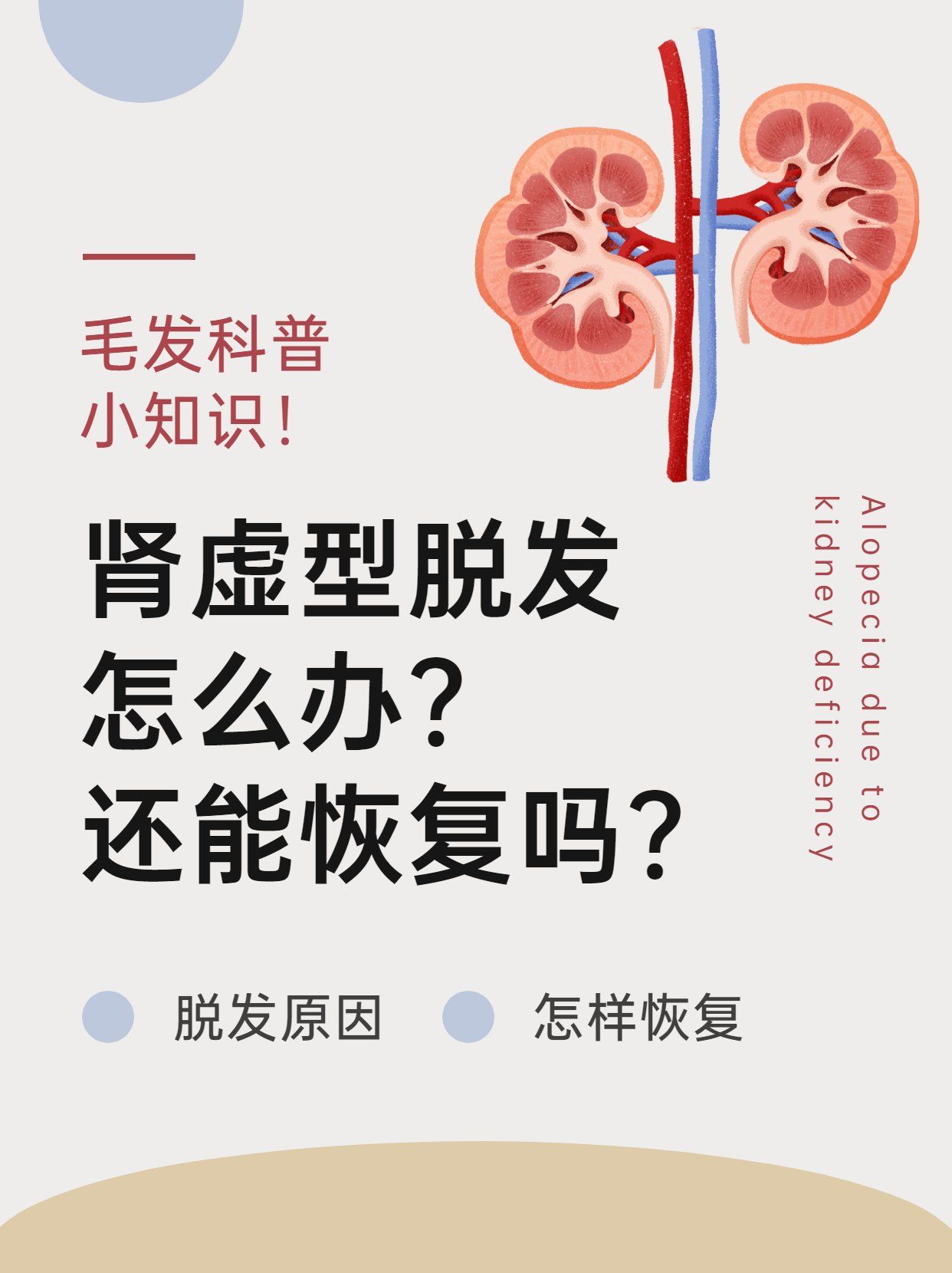 肾虚型脱发怎么办?还能恢复吗?