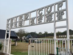 -西京湾花海
