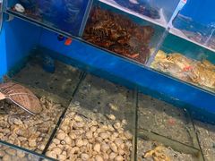 -锦州御烧烤·形象店(人民街店)
