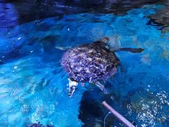 -多彩贵州城极地海洋世界