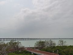 -宝安西湾红树林湿地公园